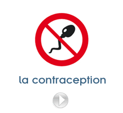 [img_contraception.gif]
