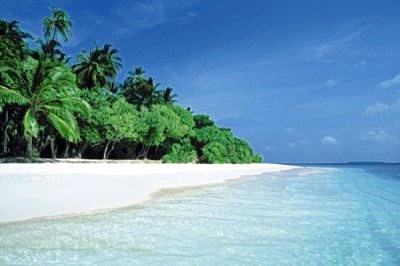 [maldive-white-sand-beach.jpg]