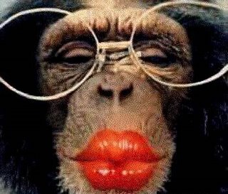 [macaco-beijo[1].jpg]