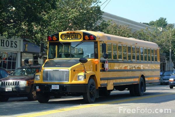 [2030_02_4---Yellow-School-Bus_web.jpg]