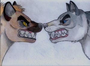 [Hyena_and_Wolf_face_closeup_by_Dark_Hyena.jpg]