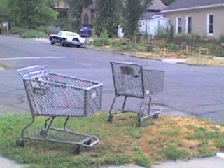[grocery+carts+-+2.jpg]