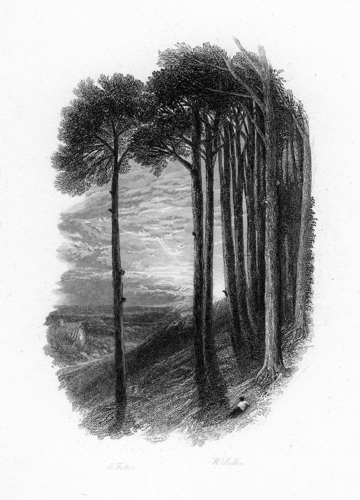 ['I_remember,_I_remember,_The_fir_trees_dark_and_high'_engraving_by_William_Miller_after_Birket_Foster.jpg]