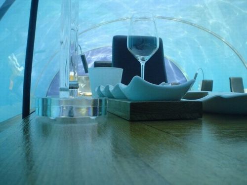 [underwater-restaurant-005.jpg]