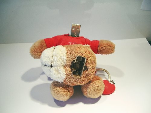 [USB+Teddy+Bear+Holds+Data4.jpg]