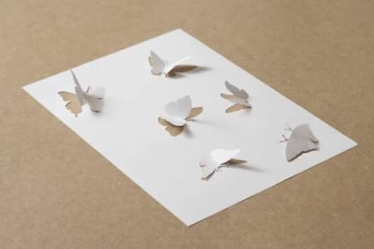 [Paper+Works+butterflies.jpg]