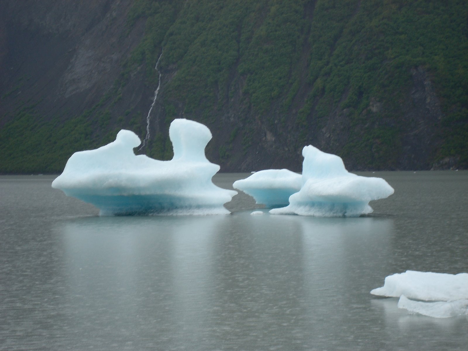 [icebergs.JPG]