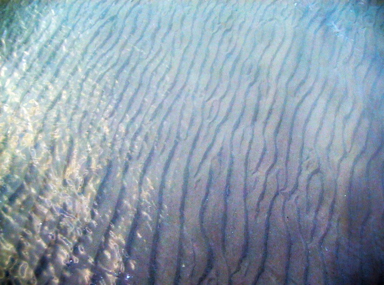 [ludington+blue+sand+ripples.jpg]
