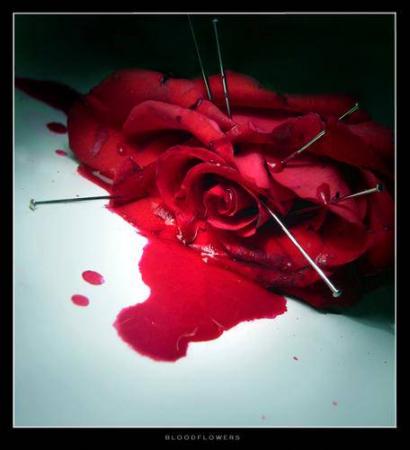 [bleeding+rose.jpg]