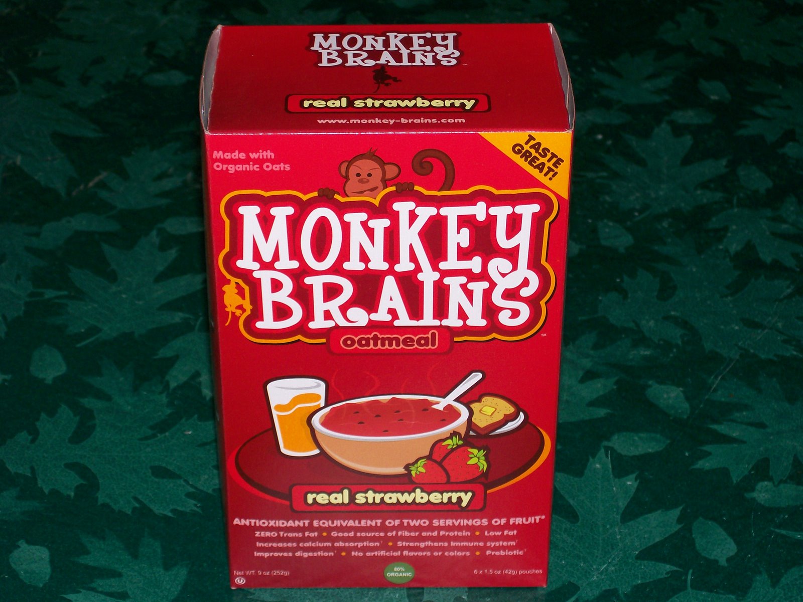 [Monkey+Brains.jpg]
