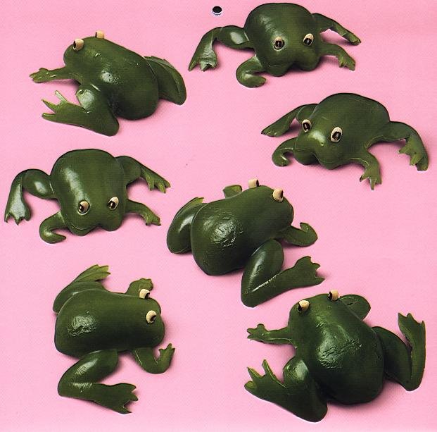 [frog.bmp]