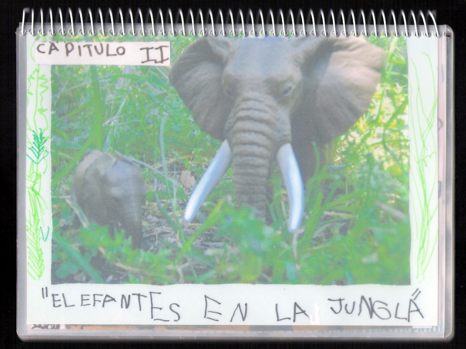 [elefantes.jpg]