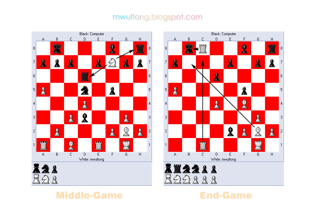 [chess_game_2008_05_28.png]