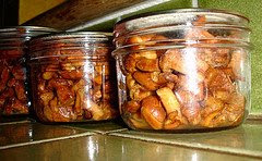 Sterilised jars of Chanterelles ready to store