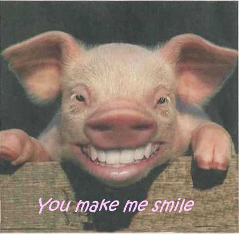 [Pig+You+make+me+smile.jpg]