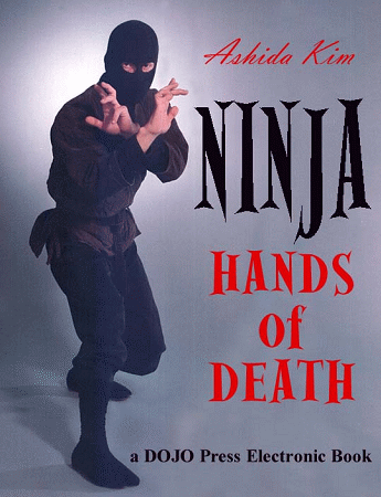 [Ninja+Hands+of+Death.gif]