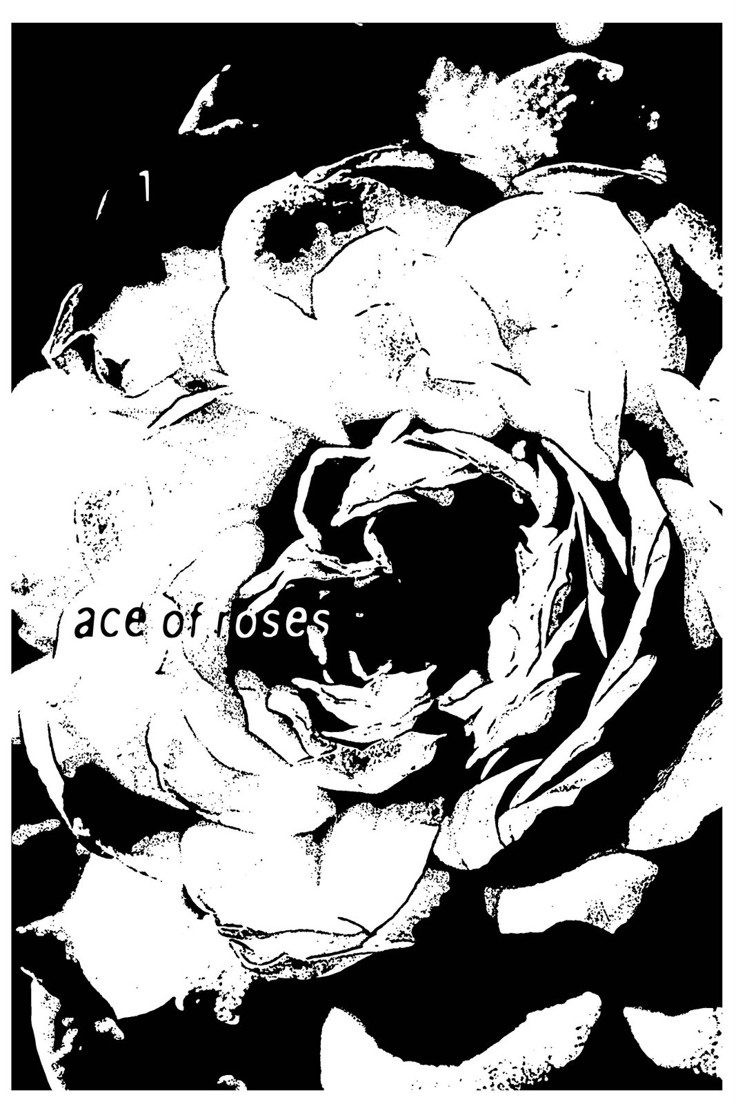 [ace+of+roses.jpg]