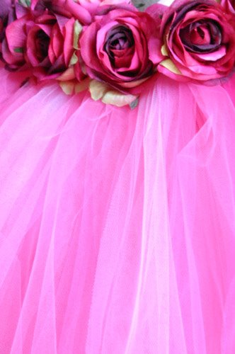 [PinkTutu+Dress.jpg]
