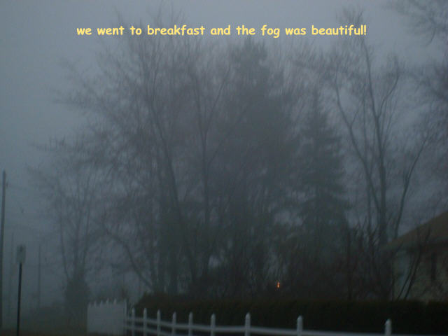 [fog4061.JPG]