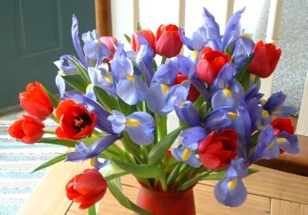 [Tulips+and+Irises.JPG]