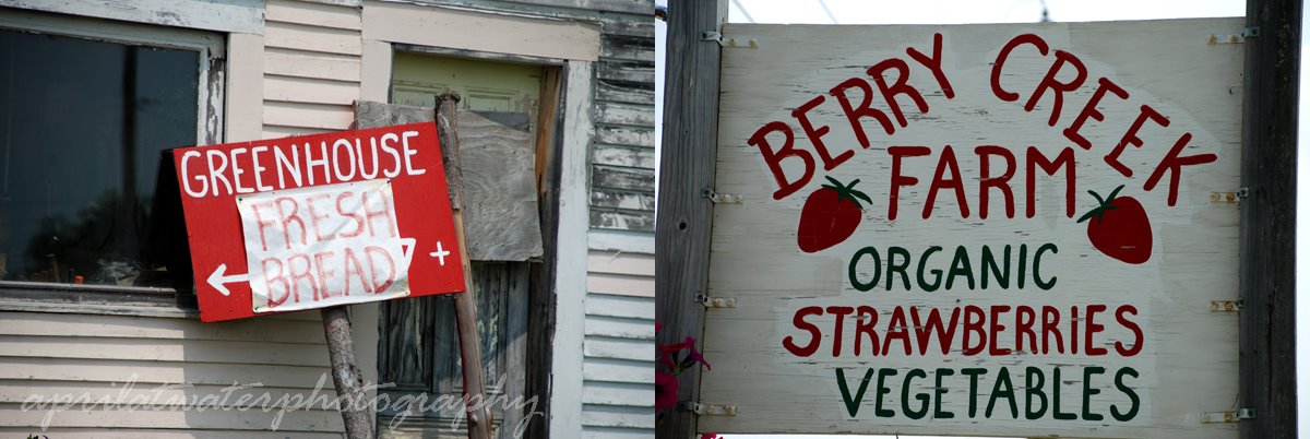 [berry+creek+sign.jpg]
