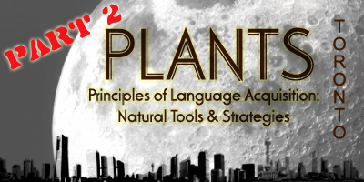 [Plantspart2.jpg]