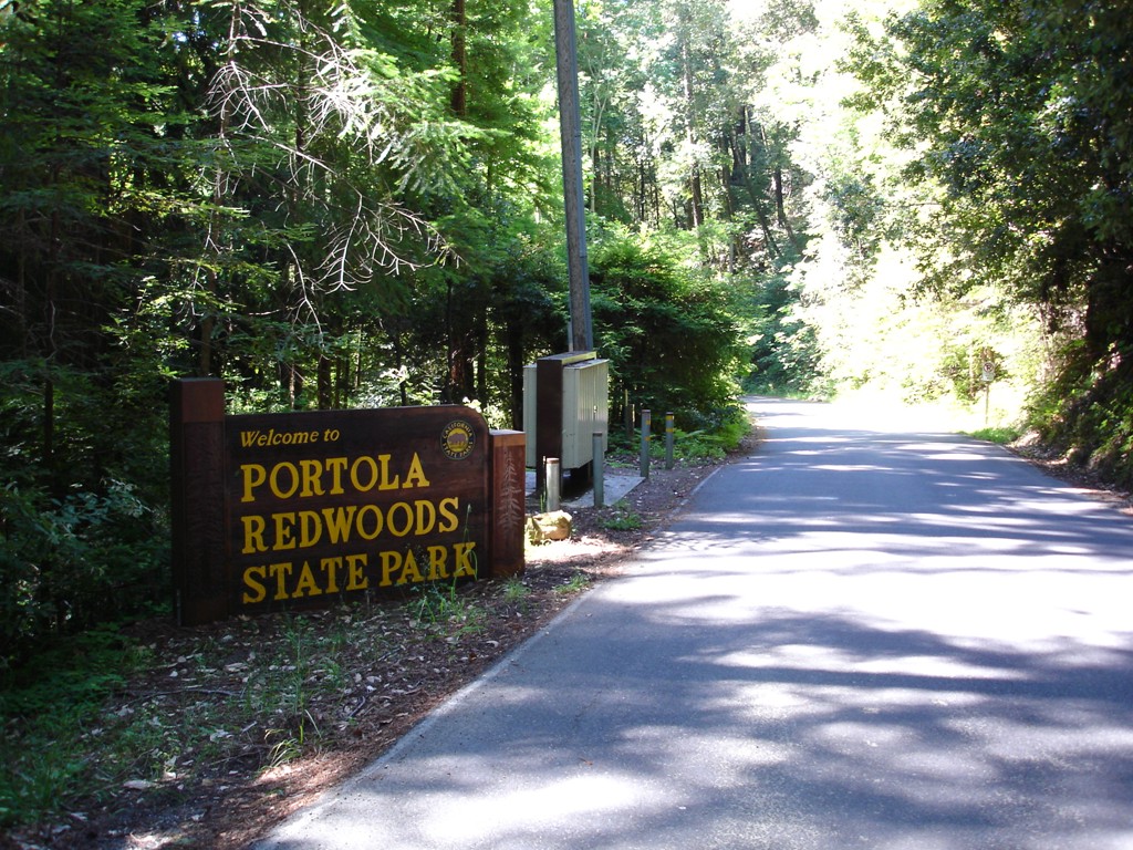 [Portola+Redwoods+State+Park+Jun2007+100.JPG]
