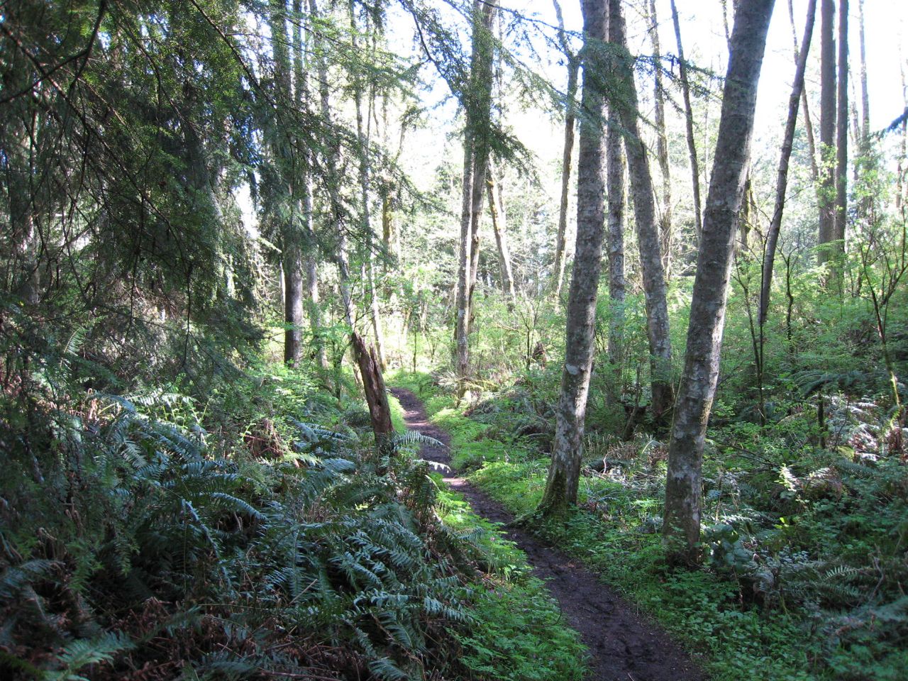 [Wilderness+Creek+Hike+May2008+21.jpg]