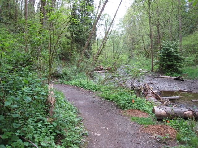 [Coal+Creek+Trail+May2008+6.jpg]