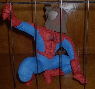 [Spider+Man.jpg]