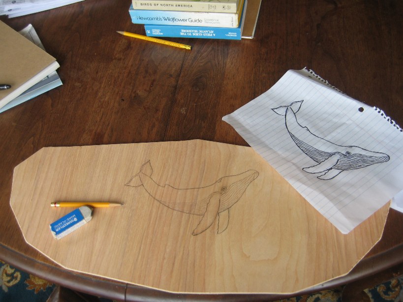 [21-whale+drawing.JPG]
