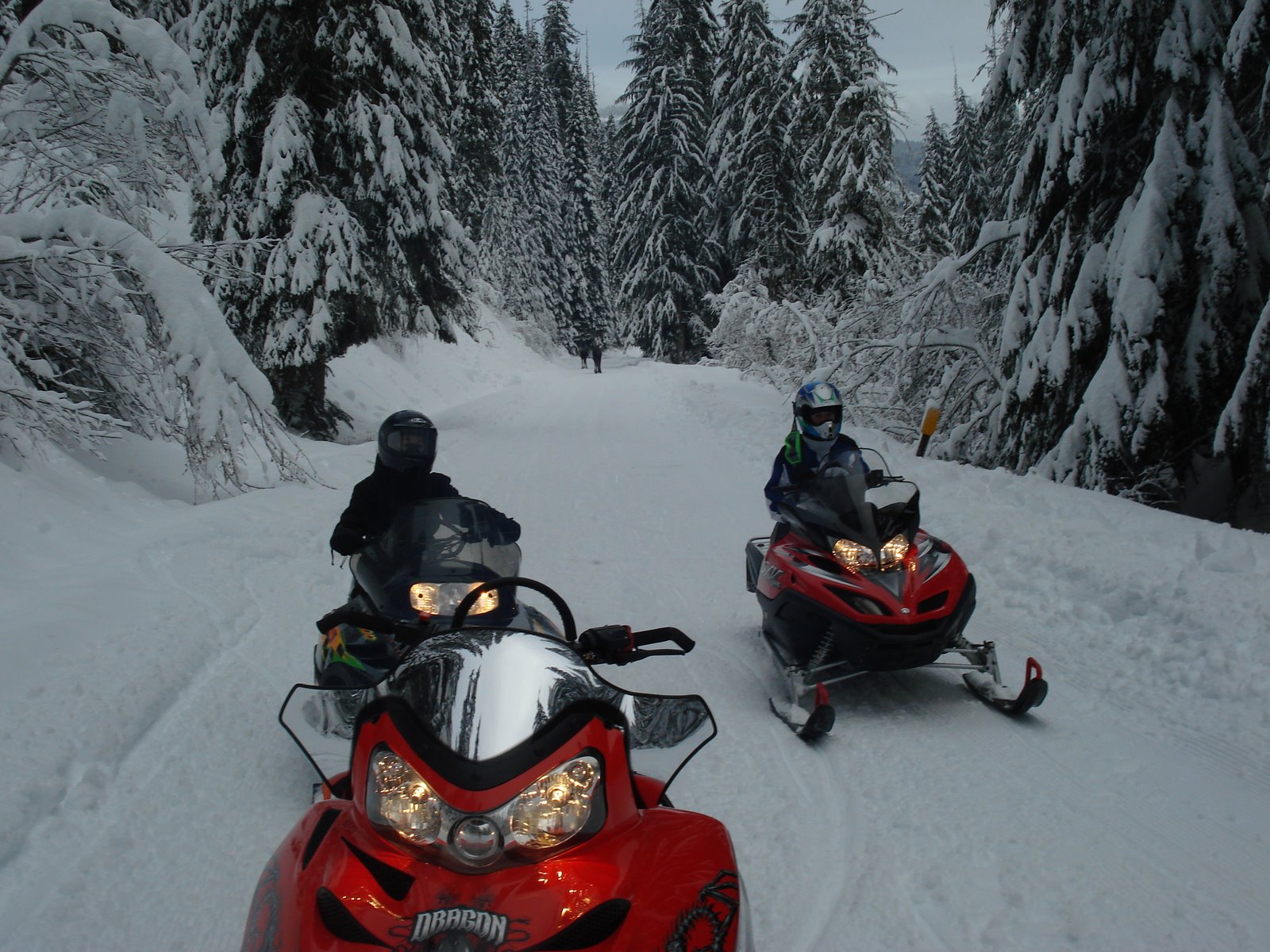 [Christmas+Pictures+and+Snowmobiling+033.jpg]