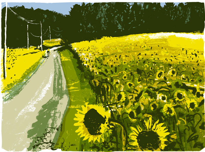 [sunflowers700.jpg]