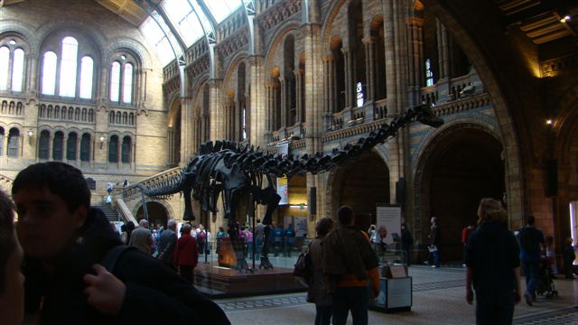 [Opening+dinosaur+Museum+of+Natural+History.jpg]