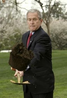 [Bush+and+shovel,+4.9.08.jpg]