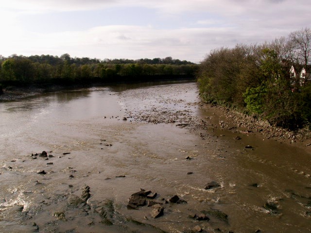 [late+April+and+a+silty+river+at+low+tide,+trees+definately+springing+forth.jpg]