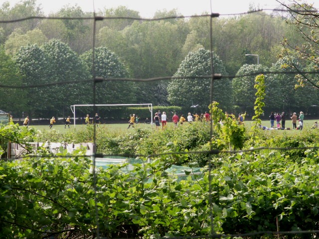 [spring+on+the+allotments+and+football+pitches+on+Penny+Holme.jpg]