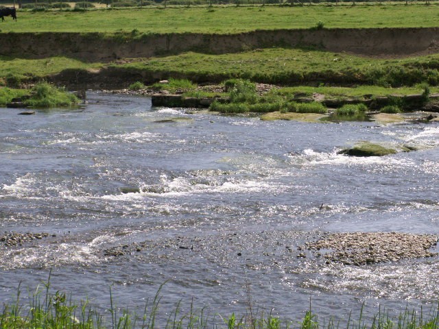 [Ribble+habitat+Sand+Martins+and+gravel+beds+for+fish+spawing.jpg]