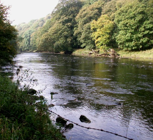 [a14+River+Ribble+at+New+Laithe+1.1.jpg]