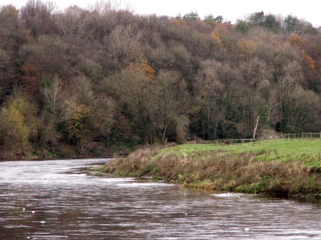 [River+Ribble+and+natural+banks+near+Mellings+Wood.jpg]