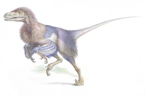 [I10-72-Dromaeosaur.jpg]