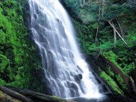 [University_Falls,_Tillamook_State_Forest,_Oregon.jpg]