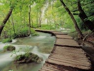 [Plitvice_National_Park,_Croatia.jpg]