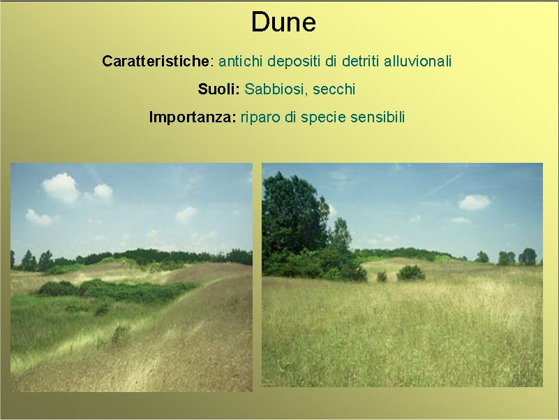 [dune.jpg]