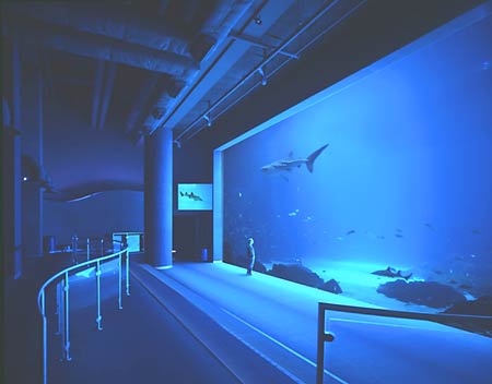 [Aquarium-Tank.jpg]