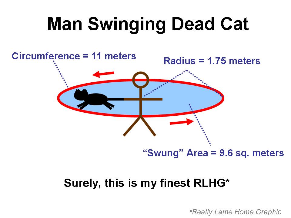 [Dead+Cat+Swinging.jpg]