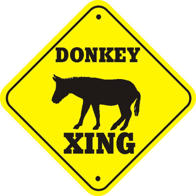 [donkeyxing.jpg]