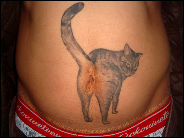 [cat+butt.jpg]