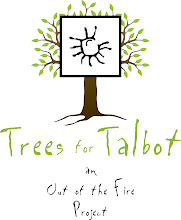 Trees for Talbot