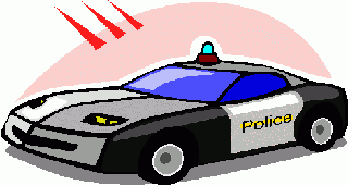 [policecar.gif]